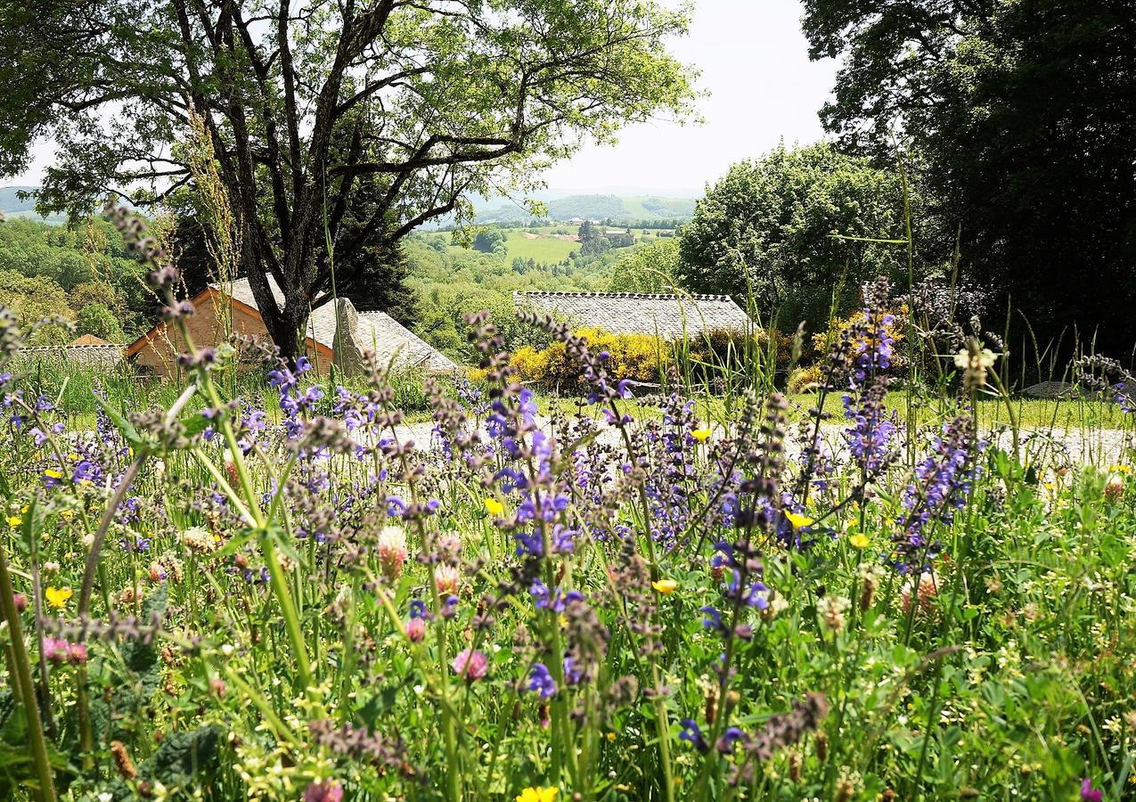 Domaine Des Marequiers Chambre Silene Saint-Germain-du-Teil 外观 照片