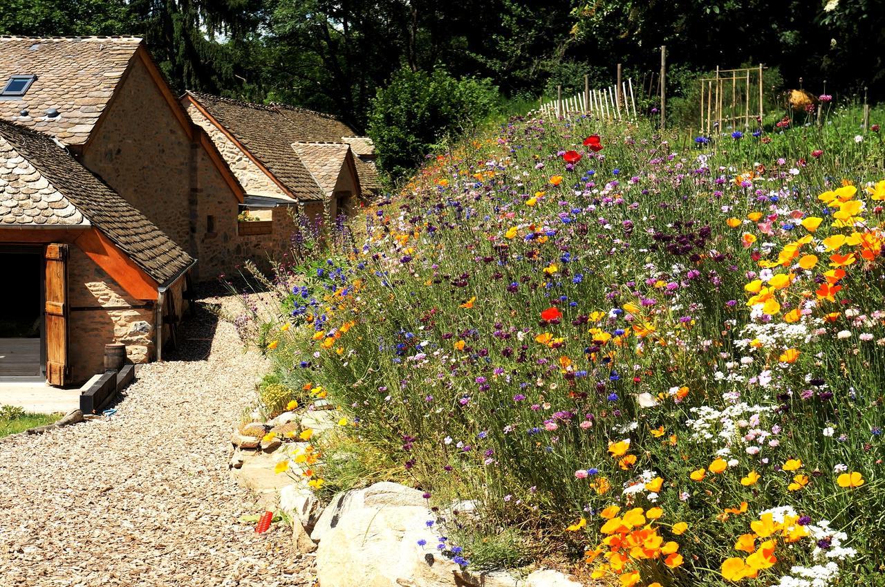 Domaine Des Marequiers Chambre Silene Saint-Germain-du-Teil 外观 照片