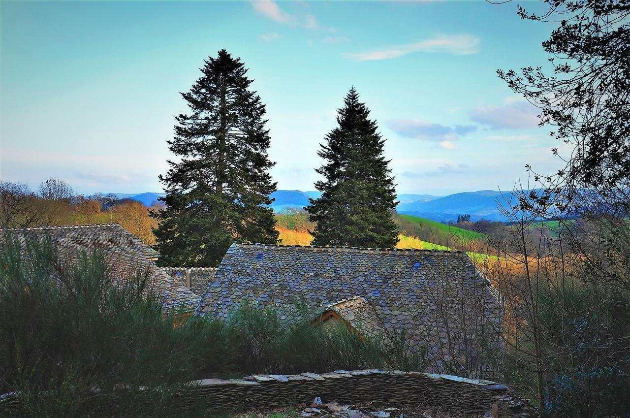 Domaine Des Marequiers Chambre Silene Saint-Germain-du-Teil 外观 照片